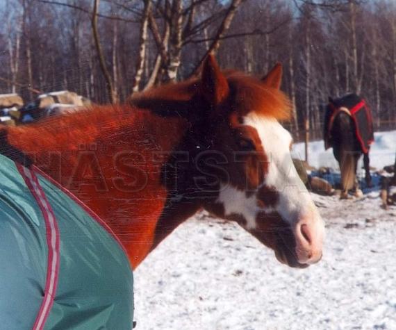 Profilbild