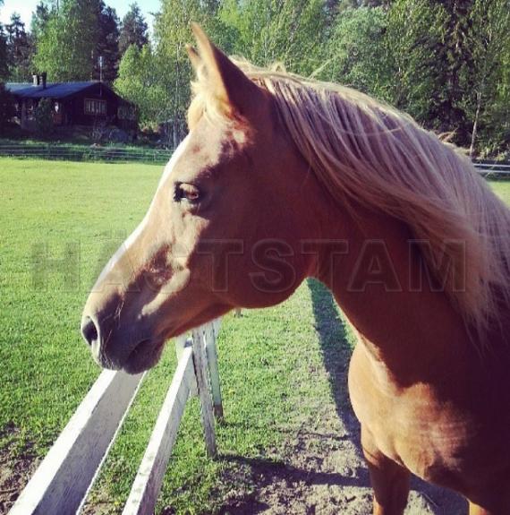 Profilbild