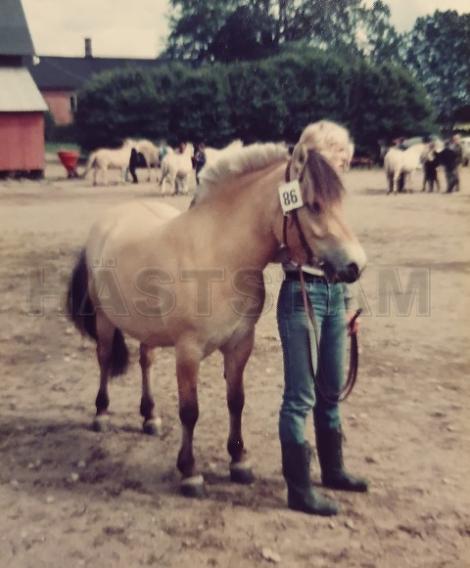 Profilbild