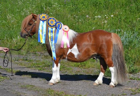 Profilbild