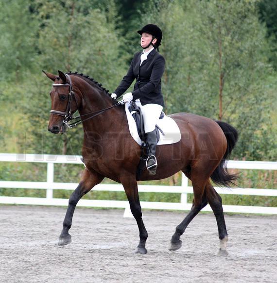 Profilbild