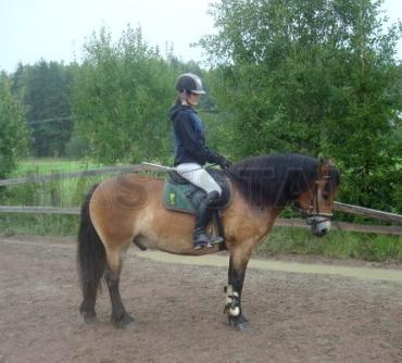 Profilbild
