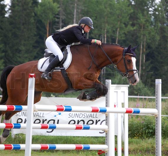 Profilbild