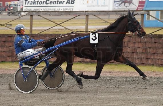 Profilbild