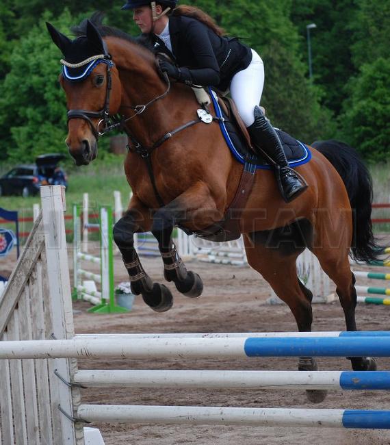 Profilbild
