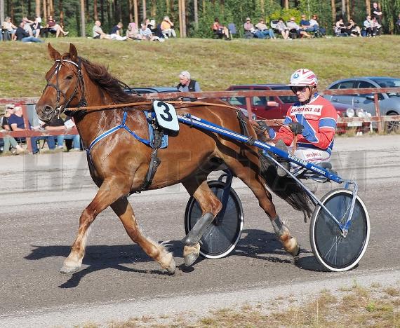 Profilbild