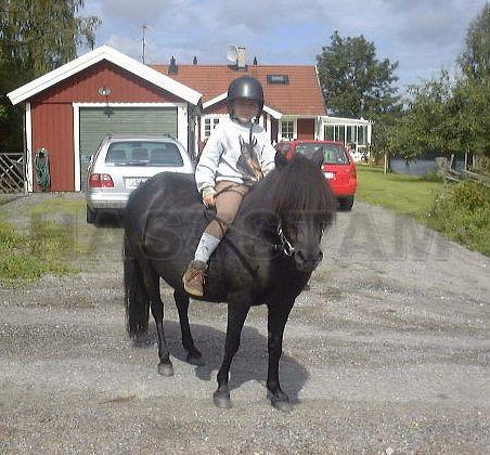 Profilbild