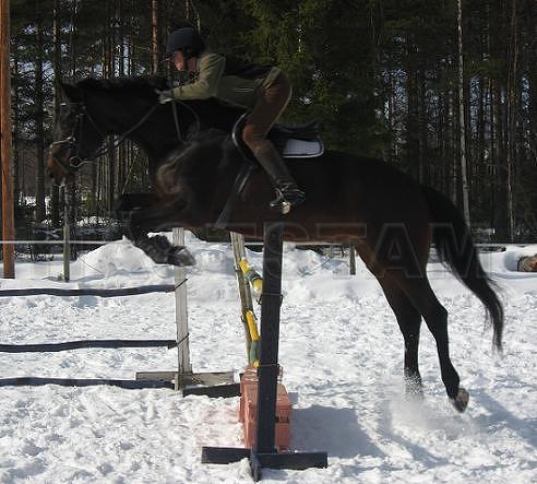 Profilbild