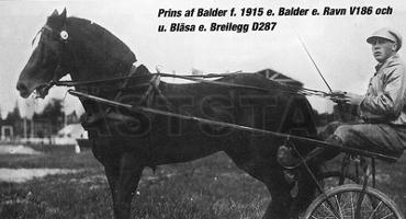 Prins av Balder