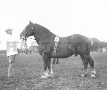 Baron Rolf