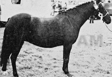 Tanlan Sidan