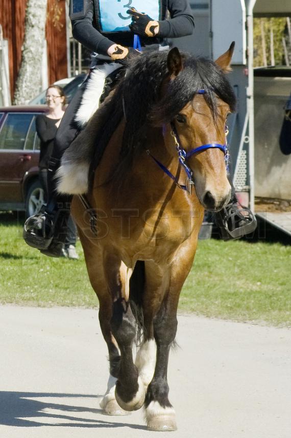 Gärdsjö Jennie
