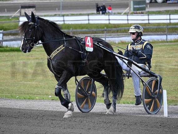 Guli Rasmus