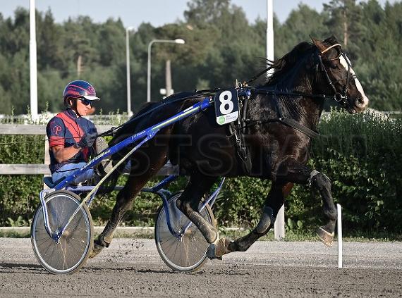 Guli Nicke