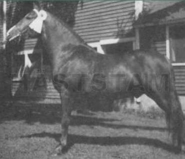 Lippitt Ashbrook Moro
