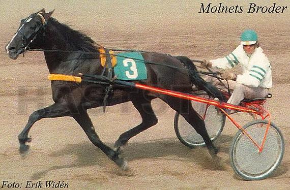 Molnets Broder