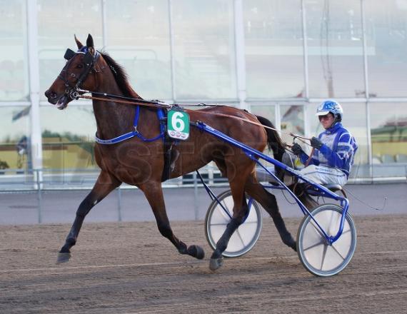Ribot (DE)
