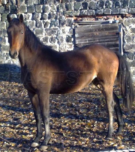 Granits Luna Bell