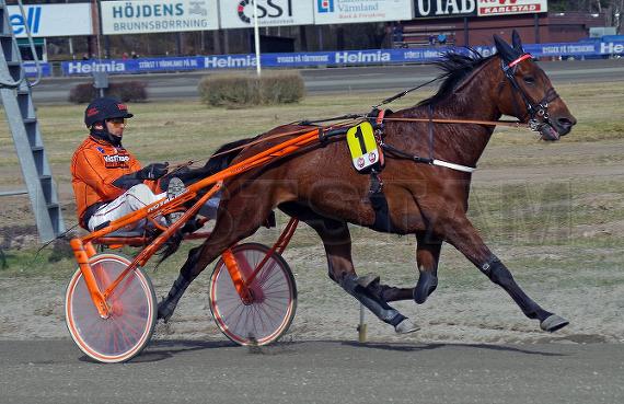 Västerbo Guerrier (FR)