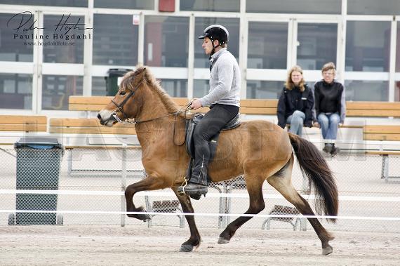 Vor-Lilja fra Ravnsbakke