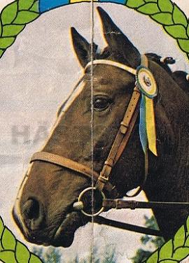 Champ II