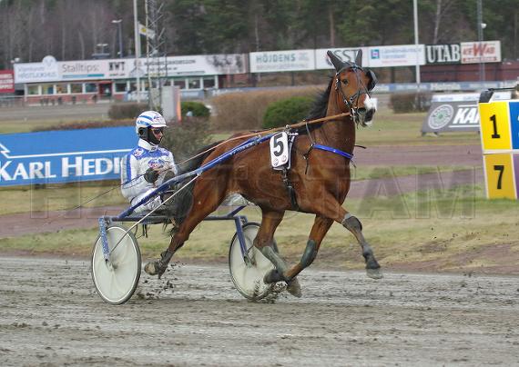 Alf D.K. (DK)