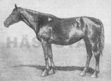 Garantija