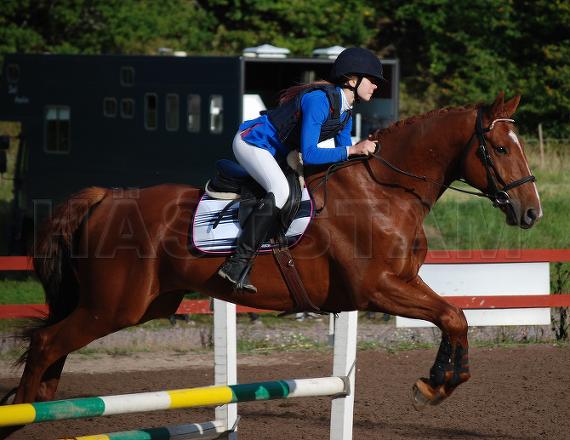 Hermes II