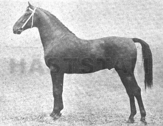 Rillington Victor