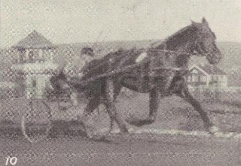 Jak Jakson (NO)