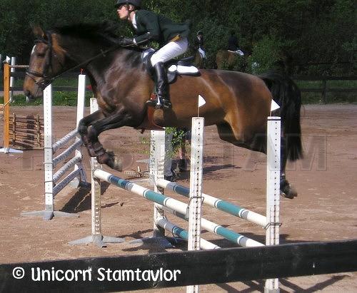 Fliza (42)