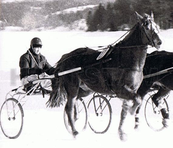 Soltora