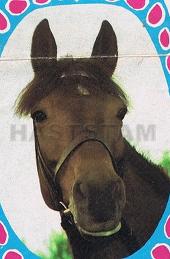 Lundhouse Star Hatter