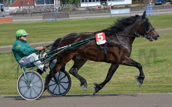Sture