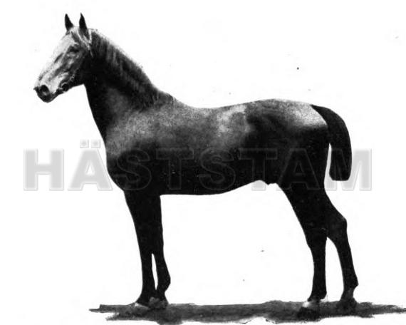 Schwarzenberg 310264306