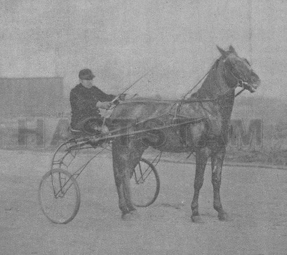 Fanny Lambert (US)