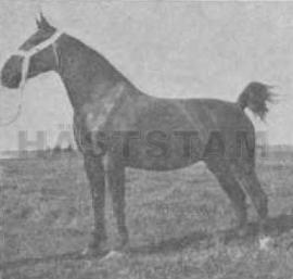 Lydiena