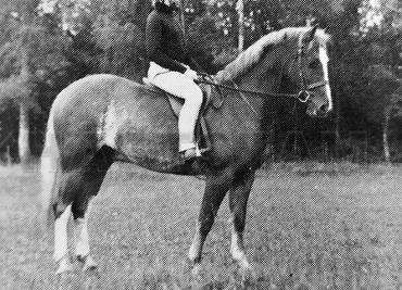 Stoatley Moonstone