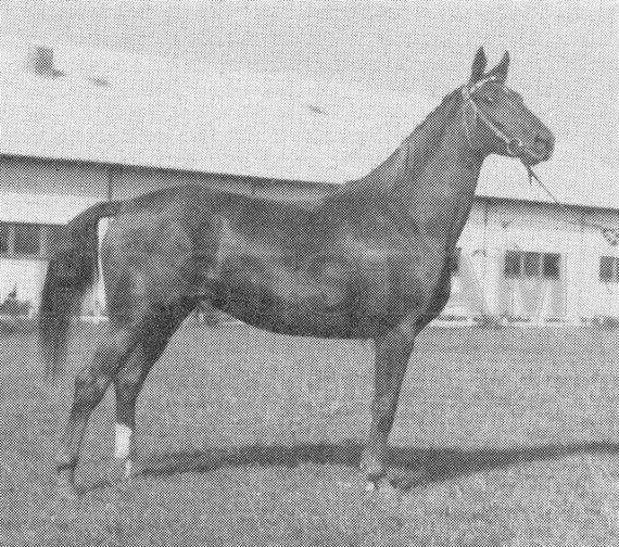 Sto e. Frondeur (5) 333 (F.3)