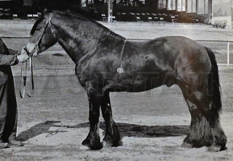 Vardtind