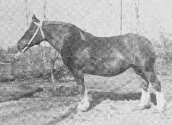 Edda