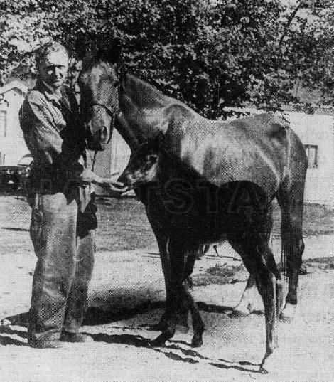 Frisco McElwyn (NO)