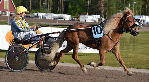 Kålmans Polara