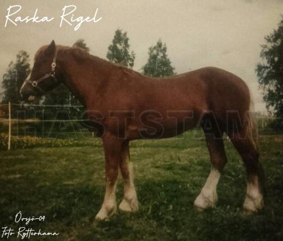 Raska Rigel