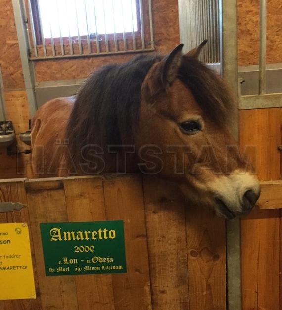 Mini-Amaretto