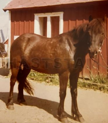 Klippman II
