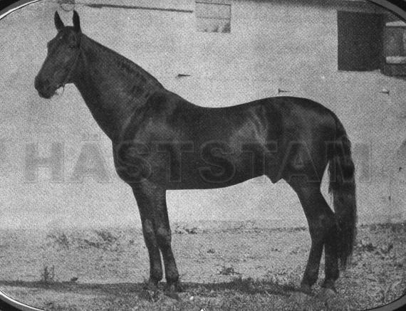 King Alar (US)