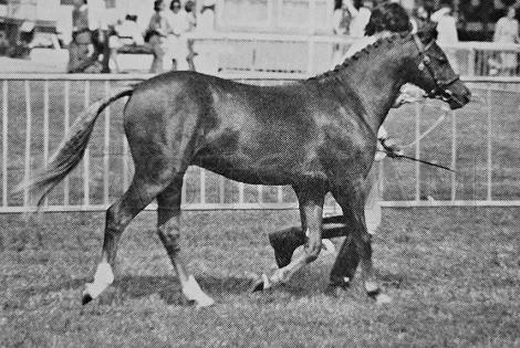 Breccles Bach