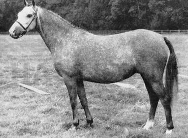 Cusop Rhythm