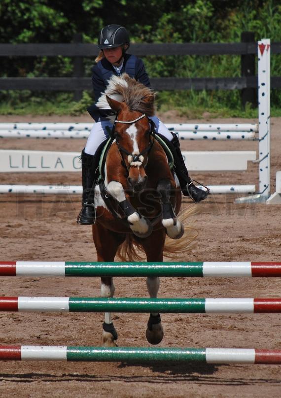 Belina